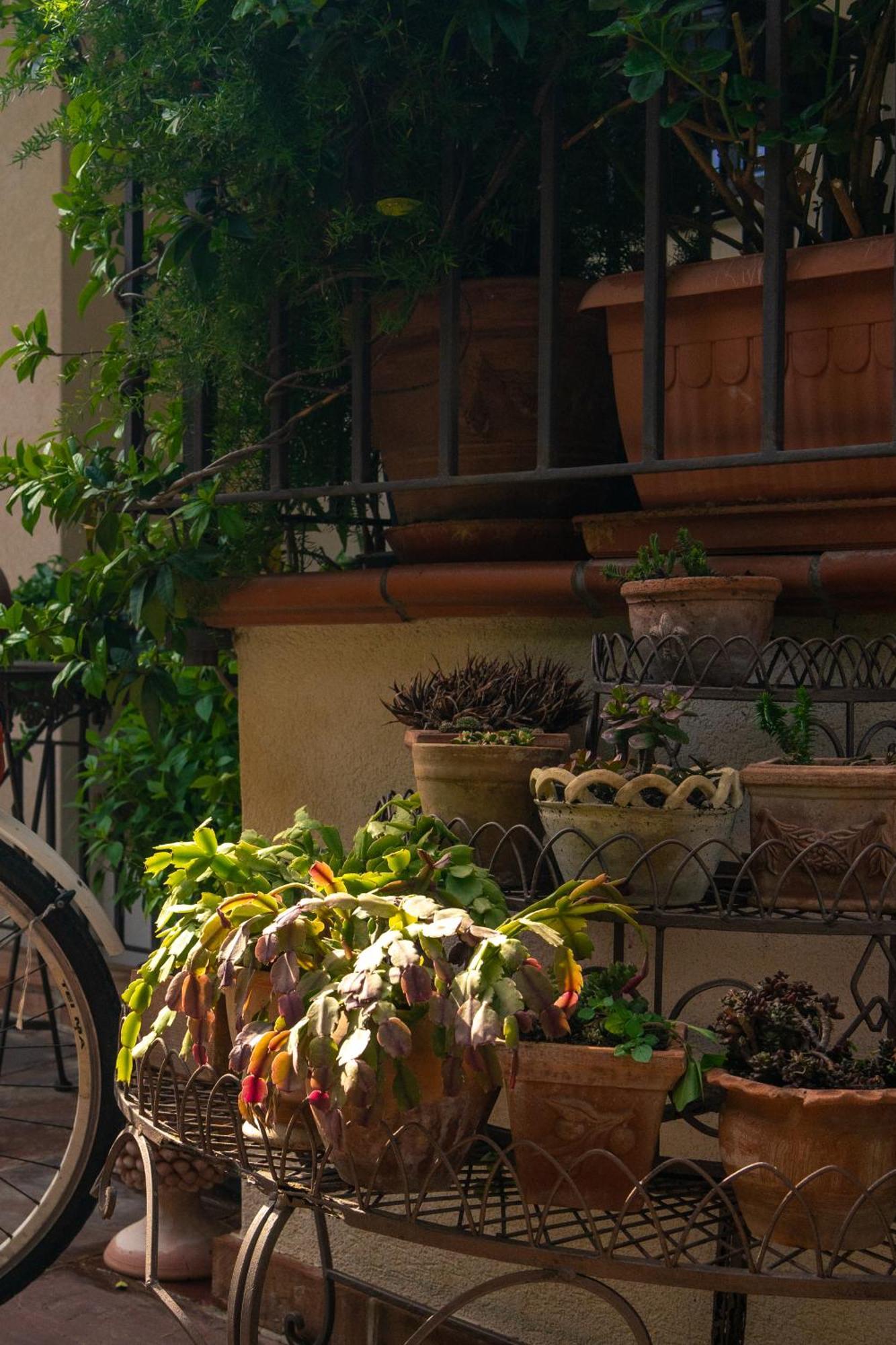 Guest House Antichi Ulivi Мондело Екстериор снимка